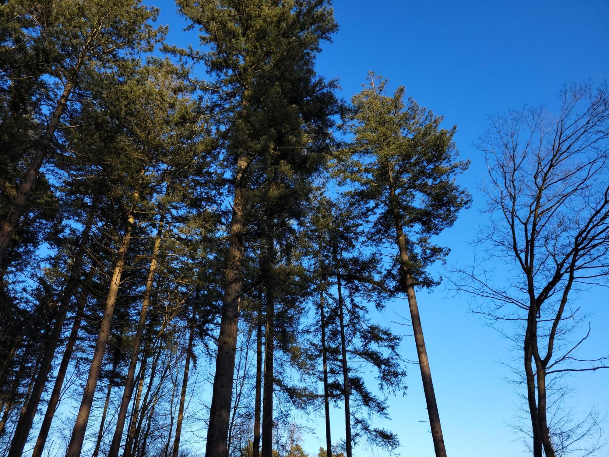 Secret Wellness Puur Natuur Holten Zewnętrze zdjęcie