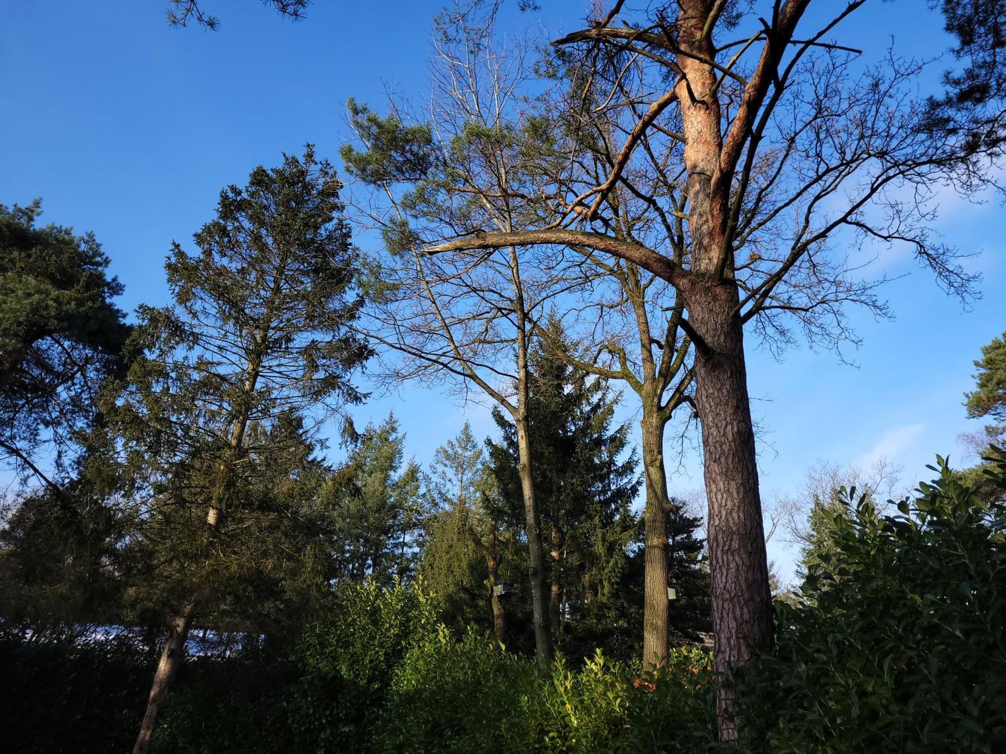 Secret Wellness Puur Natuur Holten Zewnętrze zdjęcie